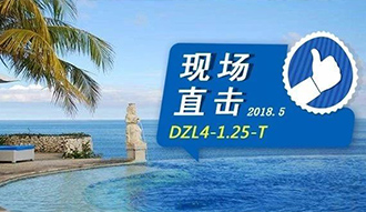 現(xiàn)場直擊丨看生物質(zhì)鍋爐在巴厘島如何強(qiáng)操作，回頭客非它不選