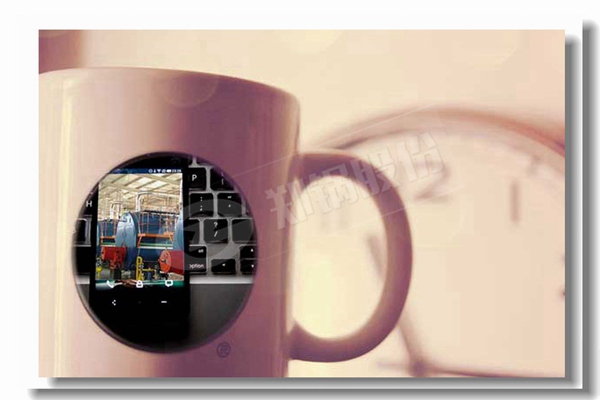 循環(huán)流化床鍋爐內(nèi)的燃燒區(qū)域有哪些？